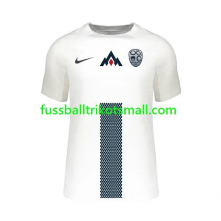 Fußballtrikots Slowenien EURO 2024 Kurzarm Heimtrikotsatz kaufen